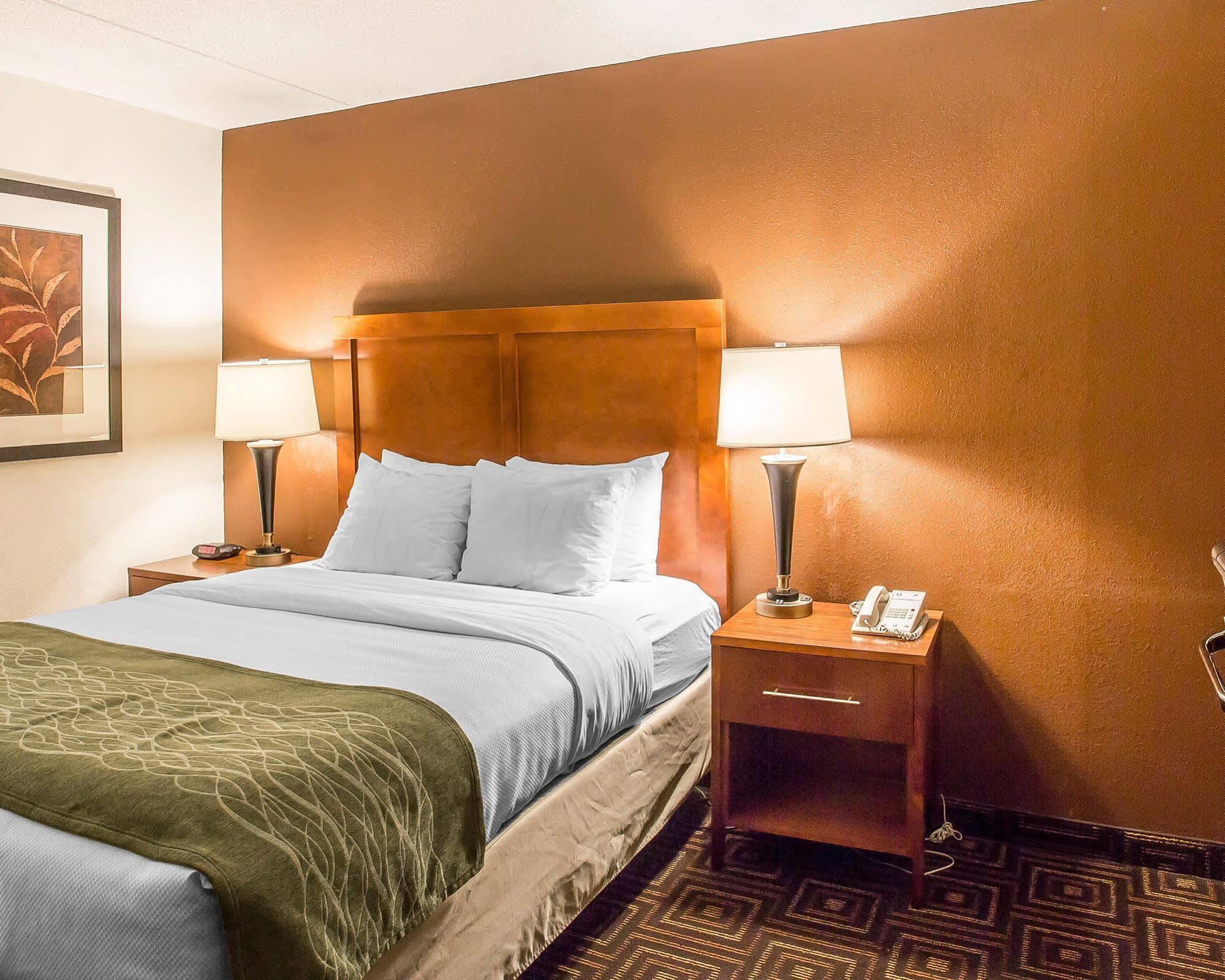 Comfort Inn Downtown Chattanooga Bagian luar foto