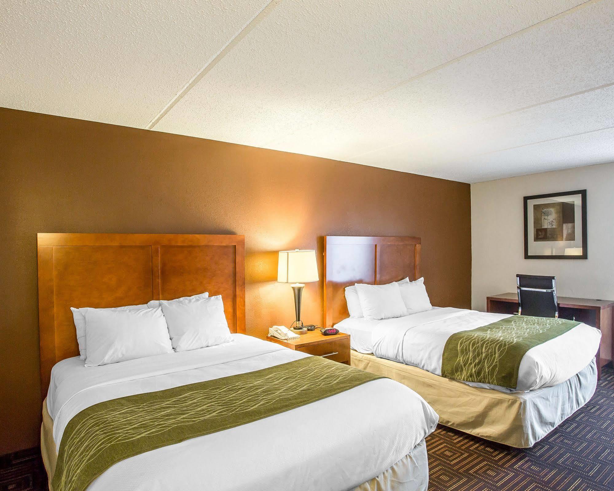 Comfort Inn Downtown Chattanooga Bagian luar foto