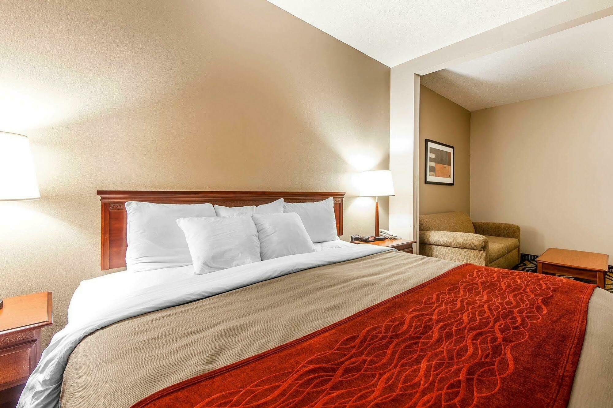 Comfort Inn Downtown Chattanooga Bagian luar foto