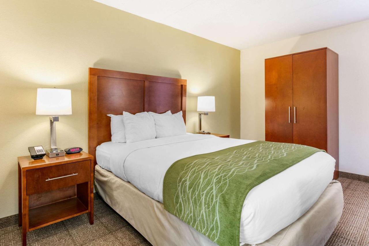 Comfort Inn Downtown Chattanooga Bagian luar foto